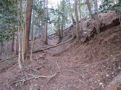 倒木で荒れた南側からのルート