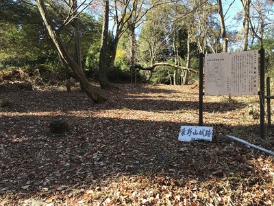 林道から城跡方面を見る