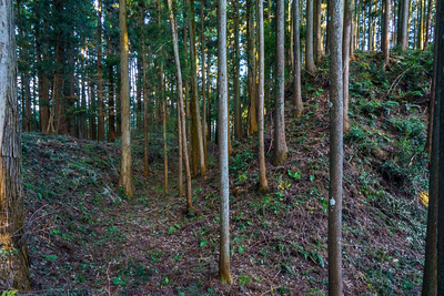 古本丸西隅の切岸と横堀