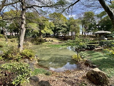 下茶屋公園の池