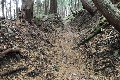 登城路