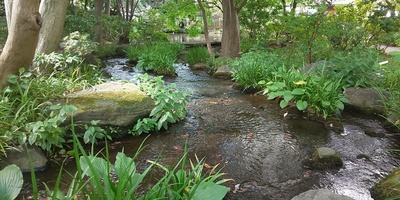 庭園の水堀4