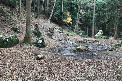 京極氏庭園跡