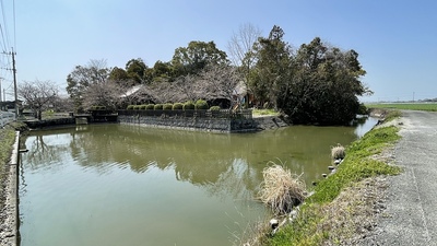 水堀越しに見る太田神社