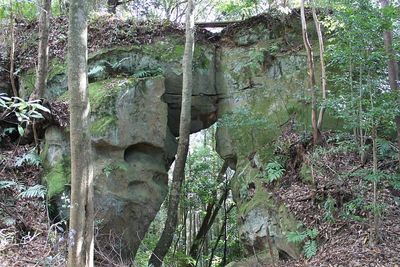 自然石の城壁