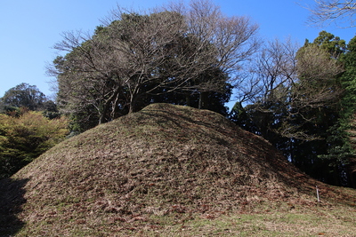 椎ノ木城　切岸