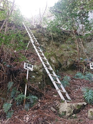 石積櫓下のはしご