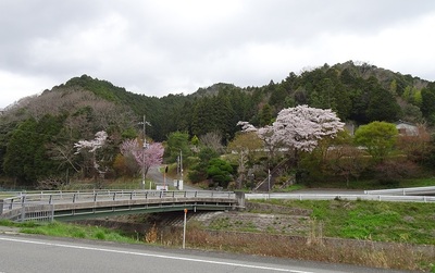 近景（南東麓から）