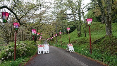 桜祭りやってました。