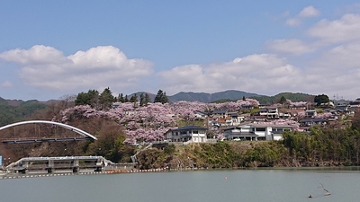 高遠ダムからの城址アップ