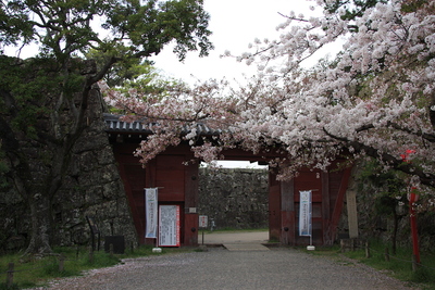 追廻門と桜