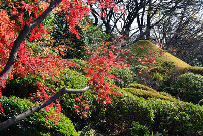 駿府城公園 紅葉山庭園