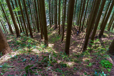 中世の土塁による枡形虎口