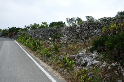 道路沿いの城壁跡
