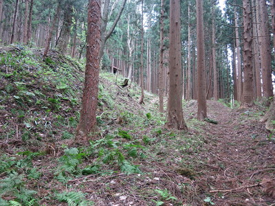 山の神様（神社）