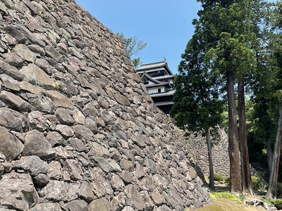 石垣と天守