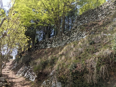 登城路から見上げる石垣