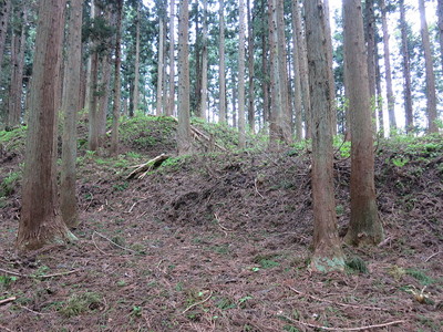 主郭の北側の郭