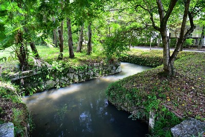 水堀（折れの部分）