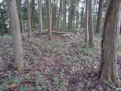 主郭と高射砲台跡