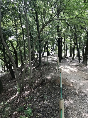 湾曲土塁