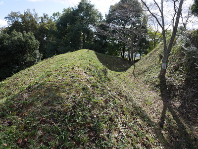 主郭を守る土塁と横堀