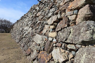 上山里曲輪下段の秀吉･官兵衛時代の石垣