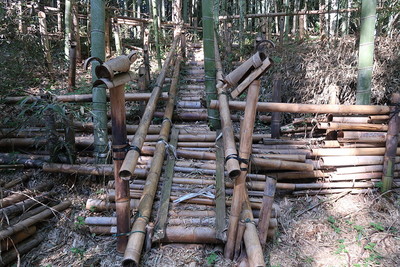 竹中城 土塁上に掛かる竹製階段