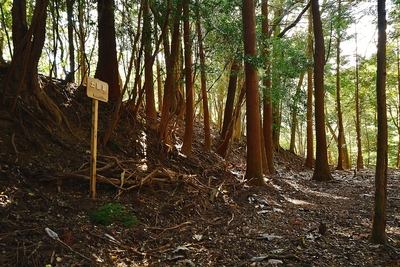 主郭土塁