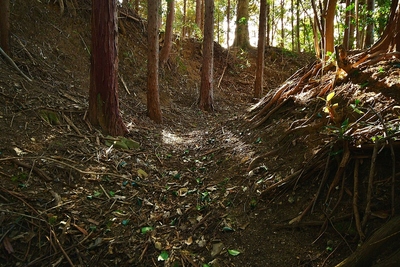 横堀