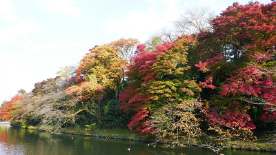 池の端壕土塁の紅葉