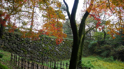 本丸土塁石垣と紅葉