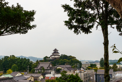 古城から見た掛川城