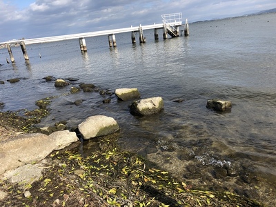 琵琶湖の水位が低下して露出した石垣