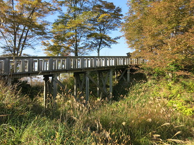 堀切に架かる木橋