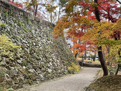 紅葉と石垣