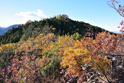 岩山展望所から見た本丸方面