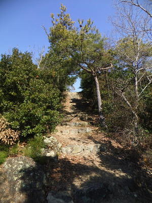 南側から本丸への石段