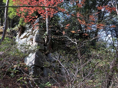 本丸石垣と紅葉