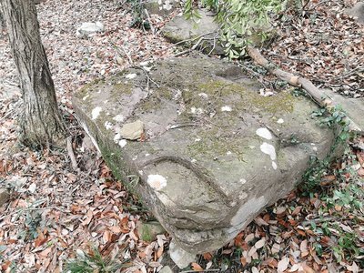 ホロソ石