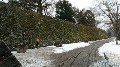 馬場跡から見る本丸跡の石垣