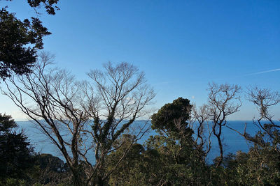 城西側・砲台跡からの景色