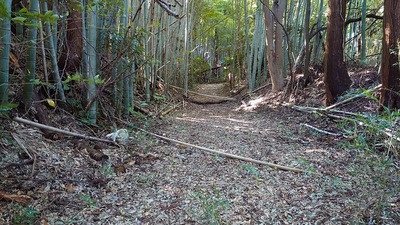 登城口から見た城址