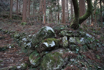 登城路の石積み