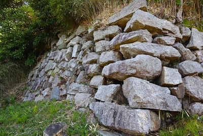 本丸北側の石垣(西側)