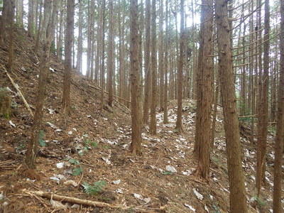 北の丸切岸