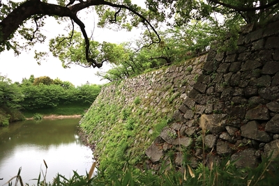 竹林橋跡から見る天守曲輪南側の水堀と石垣