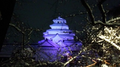 桜の撮影スポットから見た鶴ヶ城（2017会津絵ろうそくまつり）