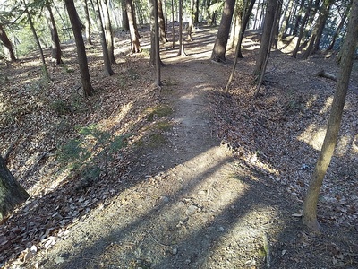 土橋・堀切