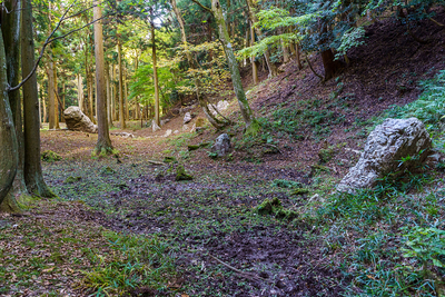 京極氏館跡　御屋形の庭園跡と切岸